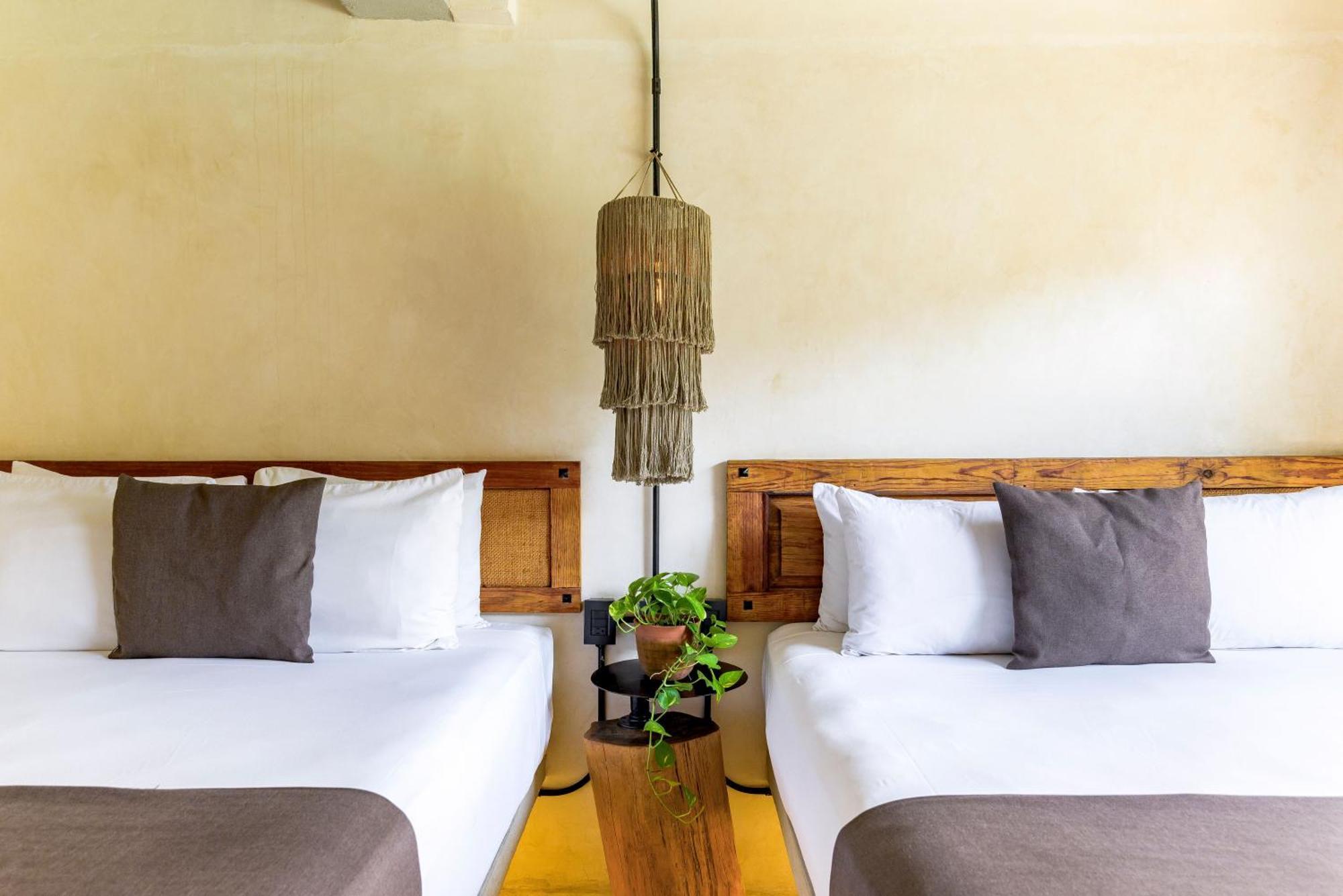 5TH AVE WITH PARKING Caribbean Paradise Boutique Hotel by BFH Playa del Carmen Extérieur photo